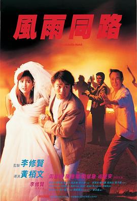 風雨同路(全集)