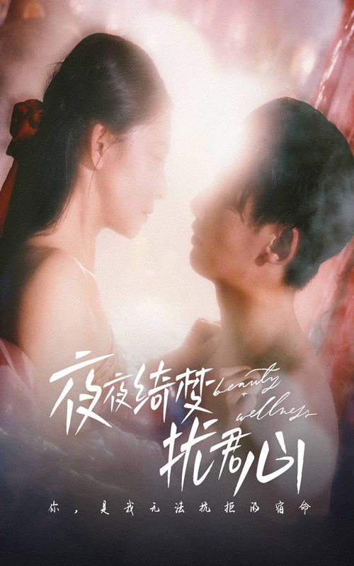 夜夜綺夢(mèng)擾君心(全集)
