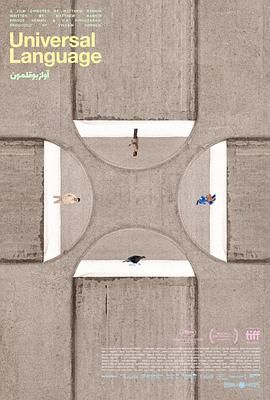 共同的語(yǔ)言(全集)
