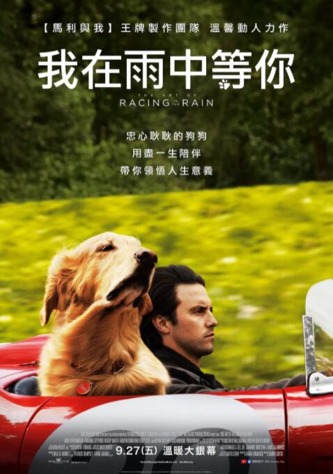 我在雨中等你(全集)